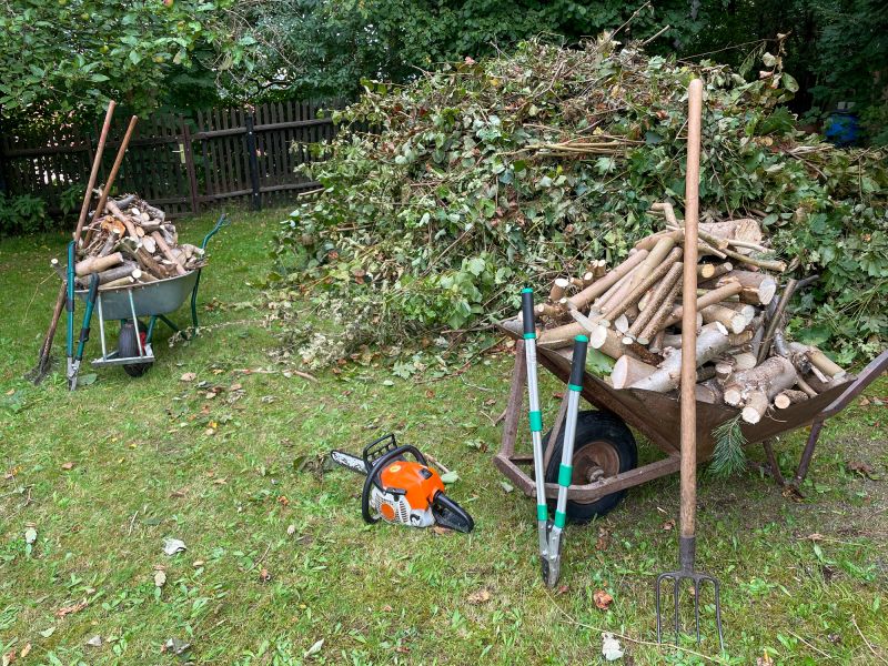 Final Leaf Clearing