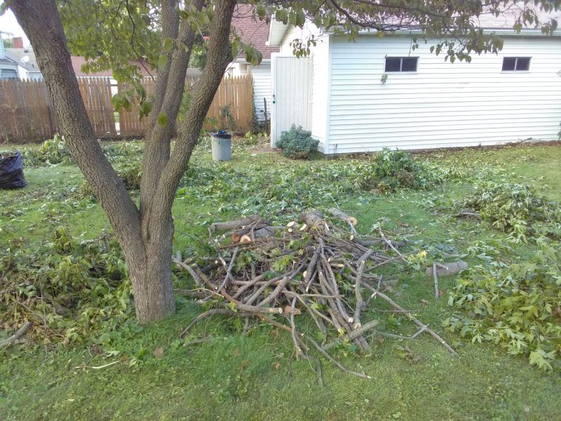 Yard Cleanup After Leaf Removal